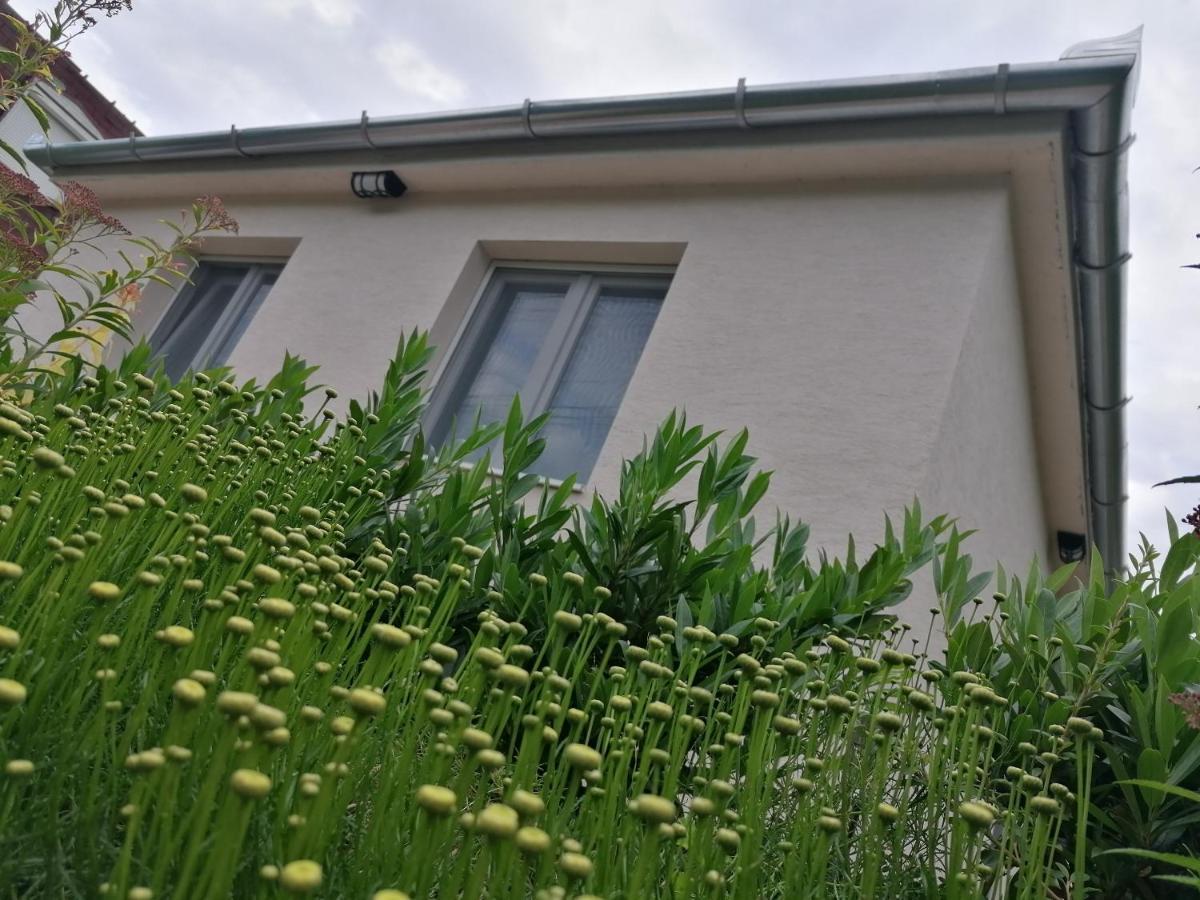 Levelke Mini Apartman Gárdony 외부 사진